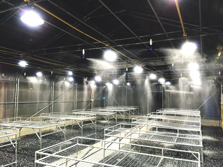 Kümes Aydınlatma Sistemi